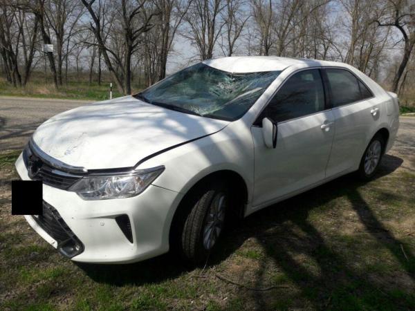 На Ставрополье иномарка насмерть сбила велосипедиста